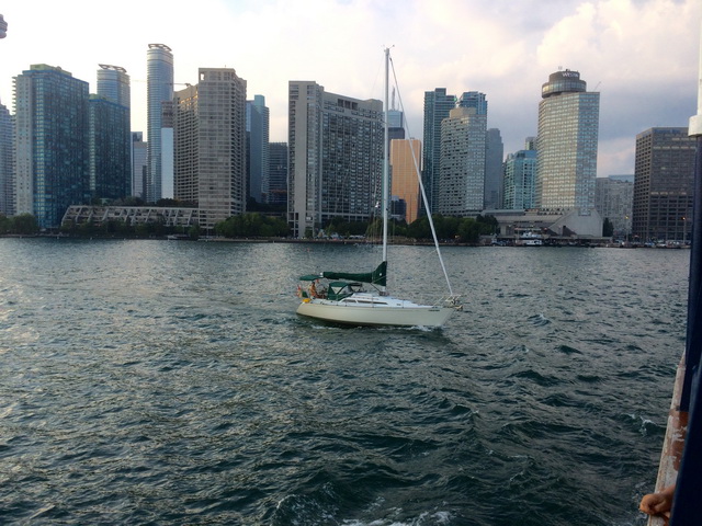 fullsizerender.jpg  7.jpg bearb.jpg